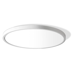 12" LED Flush Mount Ceiling Light, 24W 5000K Daylight, 3200 Lumens